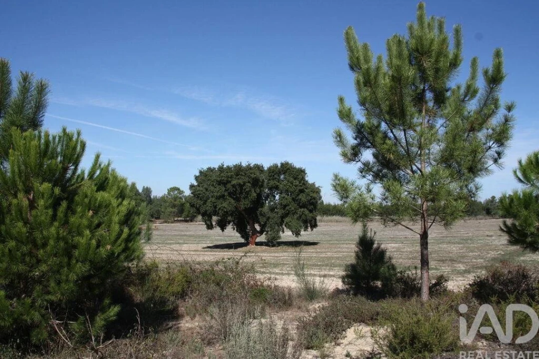 Terreno para Venda em Melides Foto 17