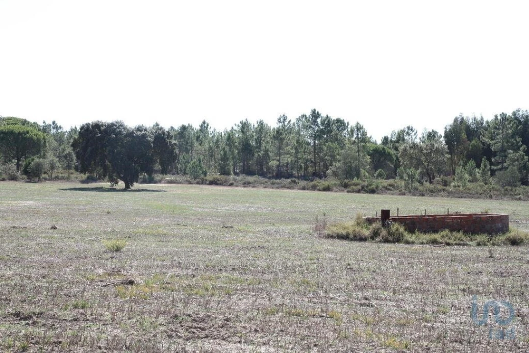 Terreno para Venda em Melides Foto 12