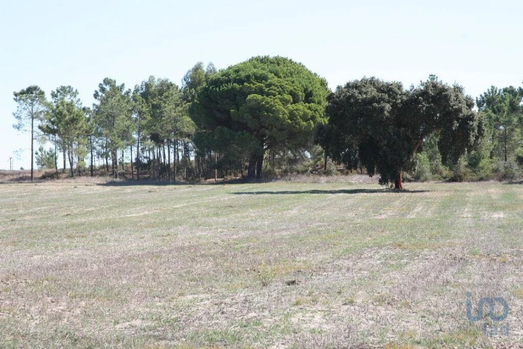 Terreno para Venda em Melides Foto 14