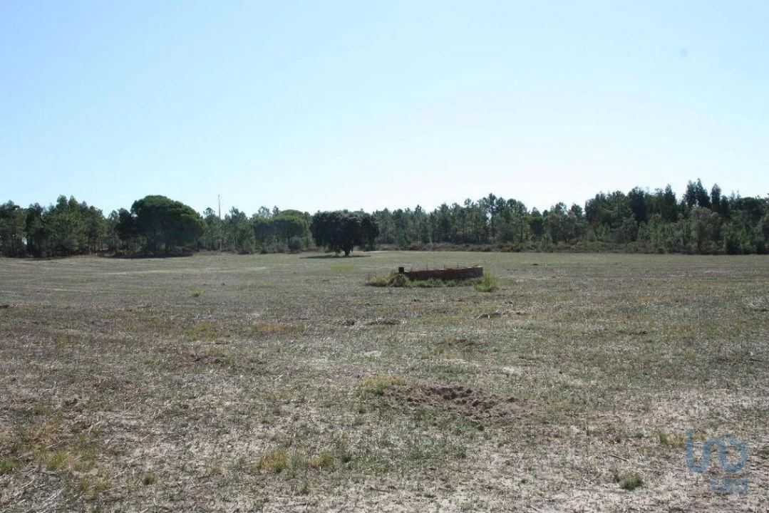 Terreno para Venda em Melides Foto 11