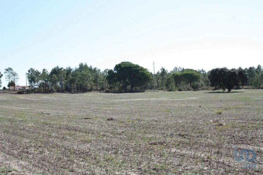 Terreno para Venda em Melides Foto 10