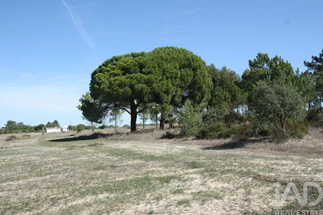 Terreno para Venda em Melides Foto 21