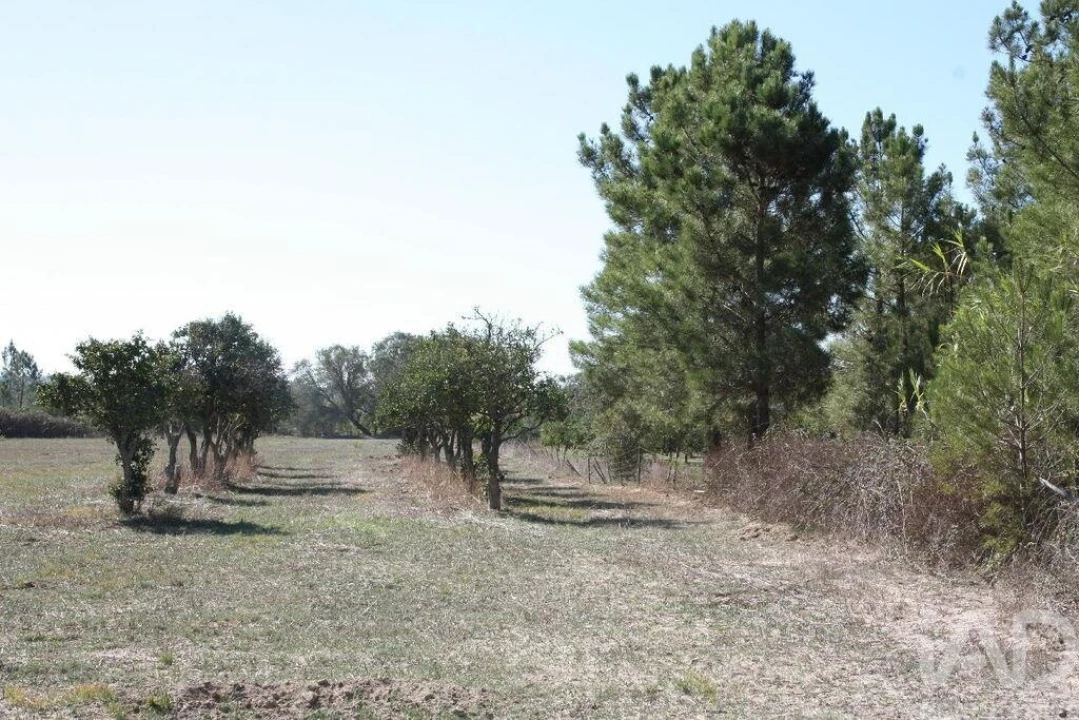 Terreno para Venda em Melides Foto 22