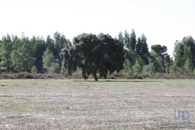 Terreno para Venda em Melides Foto 9