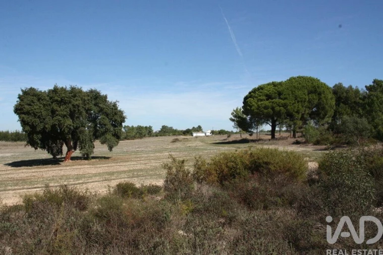 Terreno para Venda em Melides Foto 20