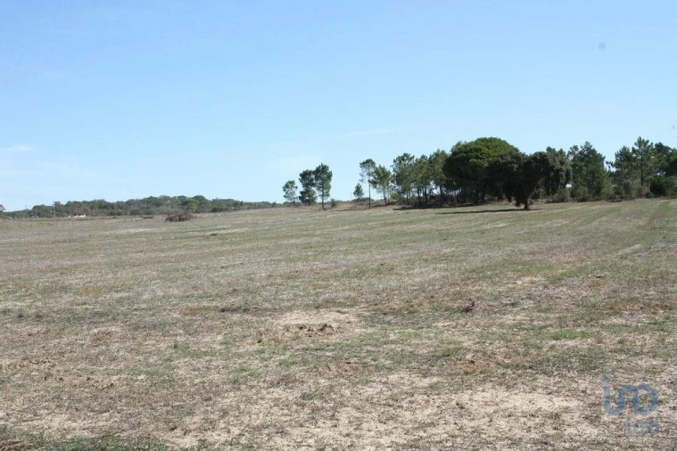 Terreno para Venda em Melides Foto 5