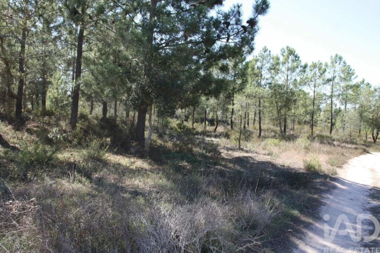 Terreno para Venda em Melides Foto 24