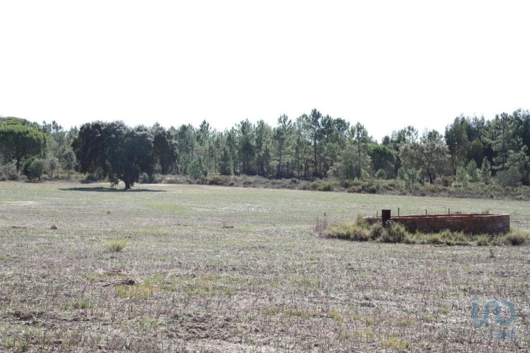 Terreno para Venda em Melides Foto 12