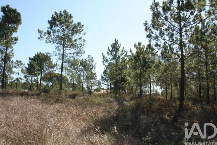 Terreno para Venda em Melides Foto 23