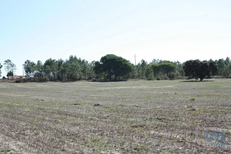 Terreno para Venda em Melides Foto 10