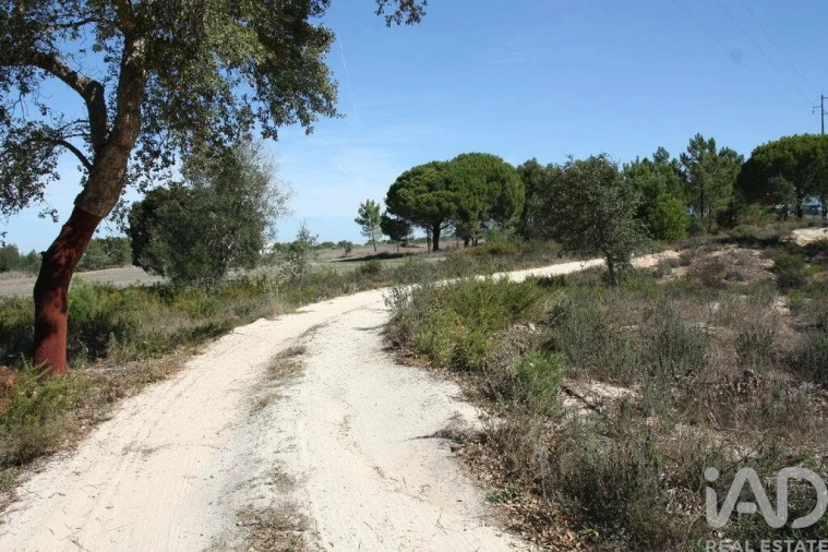 Terreno para Venda em Melides Foto 25