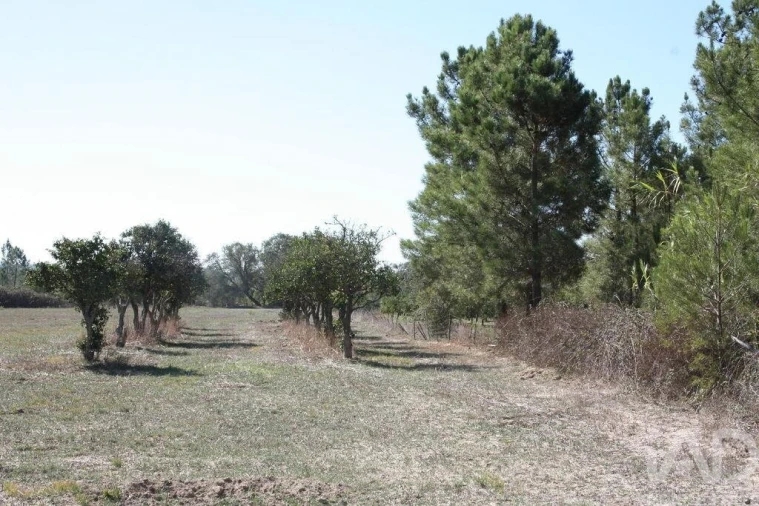 Terreno para Venda em Melides Foto 22