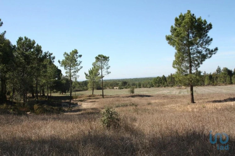 Terreno para Venda em Melides Foto 4