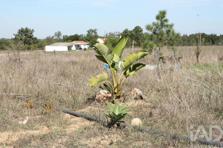 Terreno para Venda em Melides Foto 28