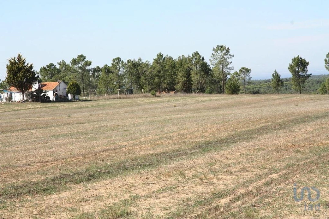 Terreno para Venda em Melides Foto 8