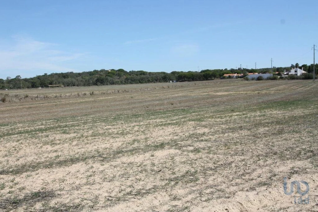 Terreno para Venda em Melides Foto 6