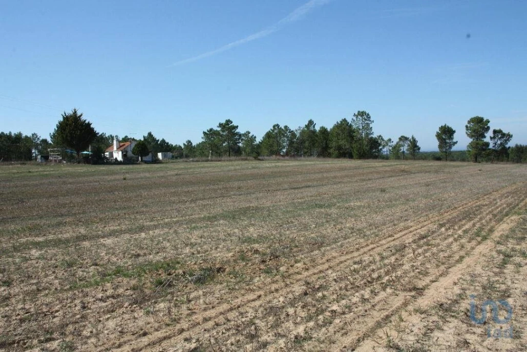 Terreno para Venda em Melides Foto 7