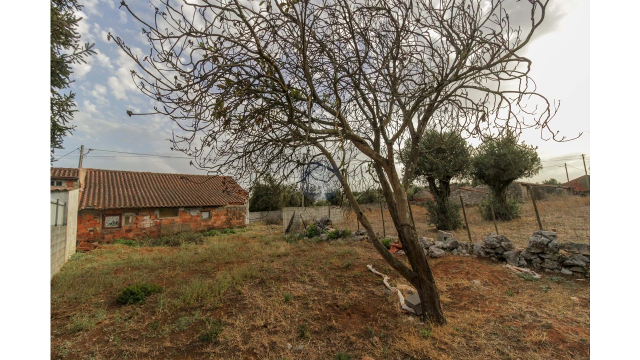 Moradia T2 para Venda em Malhou, Louriceira e Espinheiro Foto 9