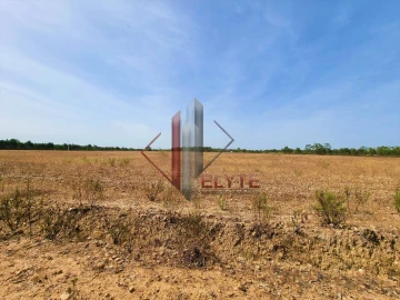 Quinta para Venda em Muge