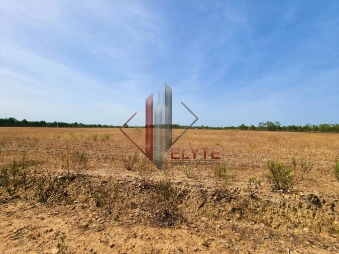 Quinta para Venda em Muge