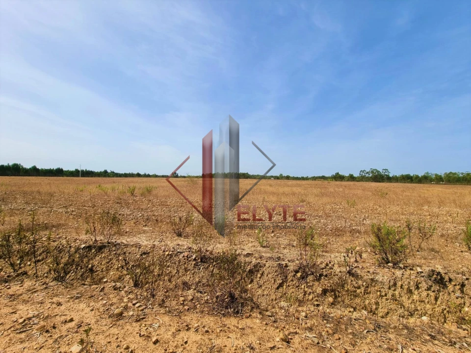 Quinta para Venda em Muge Foto 1