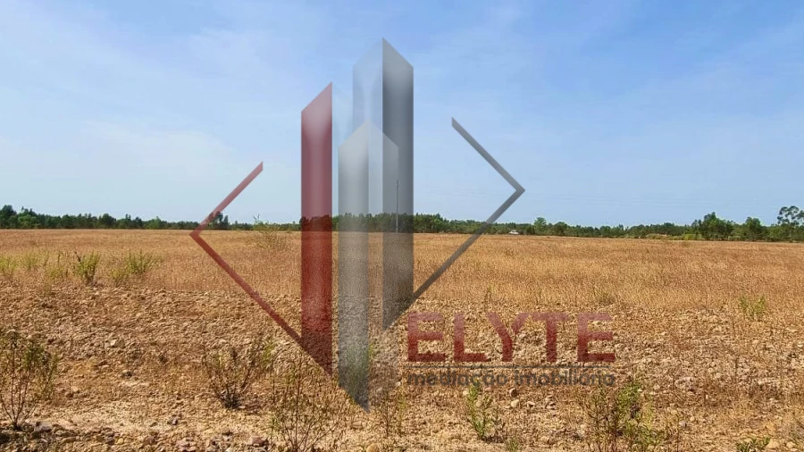 Quinta para Venda em Muge