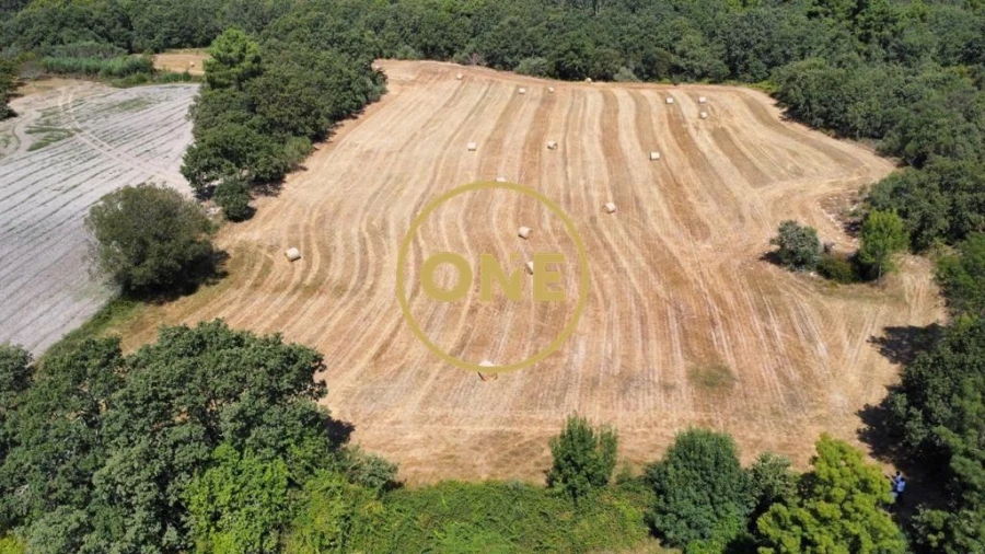 Terreno para Venda em Loivos e Póvoa de Agrações Foto 3
