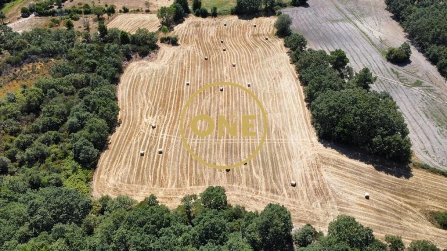 Terreno para Venda em Loivos e Póvoa de Agrações Foto 7