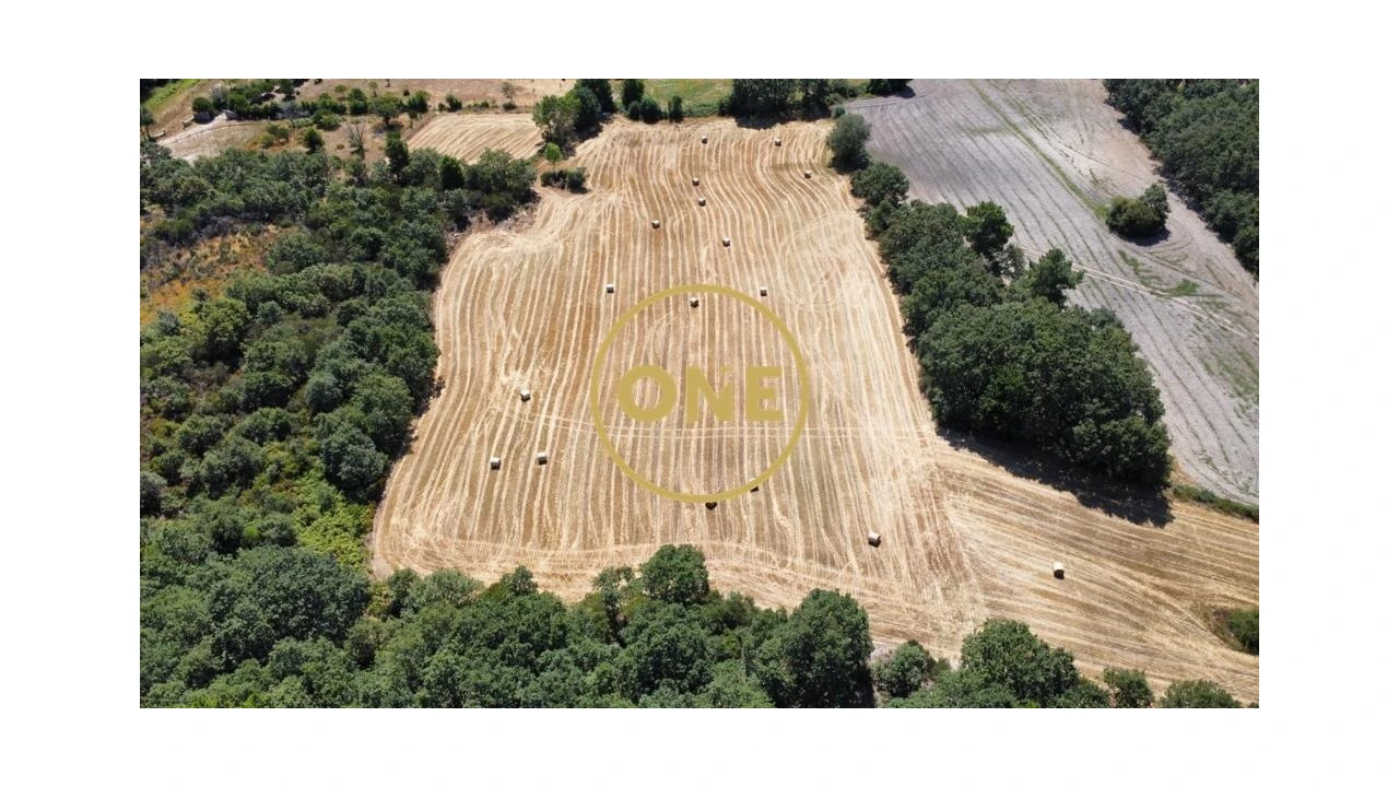 Terreno para Venda em Loivos e Póvoa de Agrações Foto 6