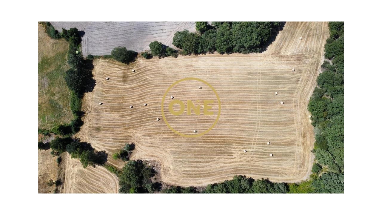 Terreno para Venda em Loivos e Póvoa de Agrações Foto 7