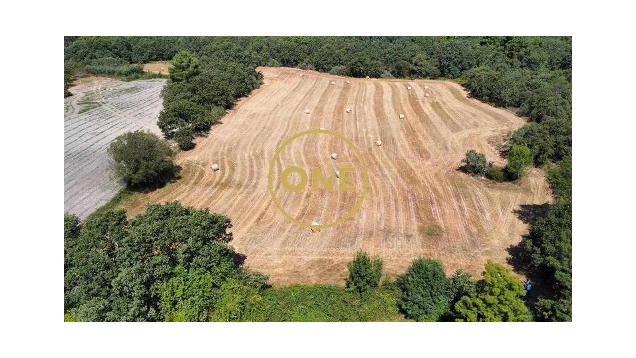 Terreno para Venda em Loivos e Póvoa de Agrações Foto 3