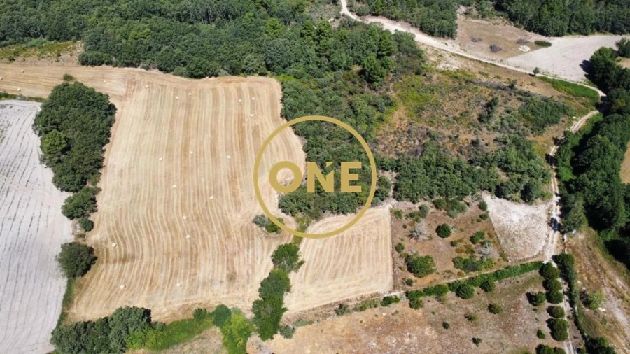 Terreno para Venda em Loivos e Póvoa de Agrações Foto 9