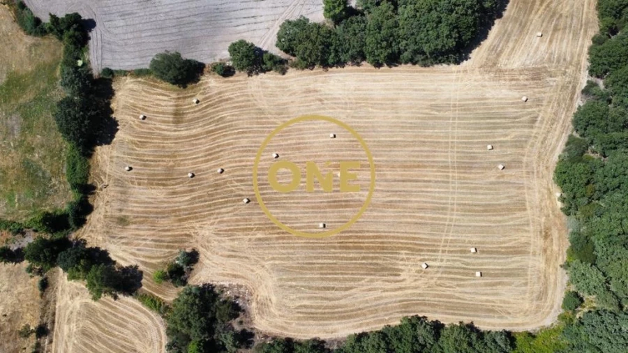 Terreno para Venda em Loivos e Póvoa de Agrações Foto 7
