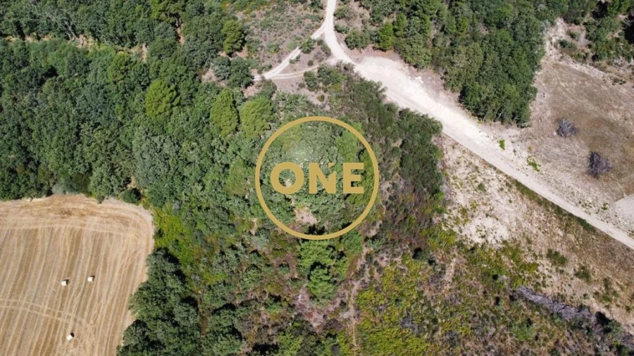 Terreno para Venda em Loivos e Póvoa de Agrações Foto 8