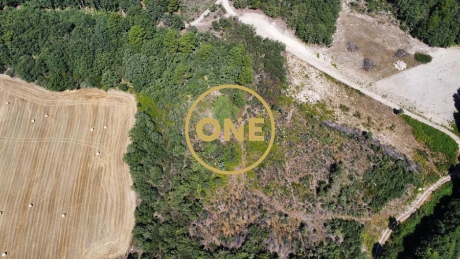 Terreno para Venda em Loivos e Póvoa de Agrações Foto 4