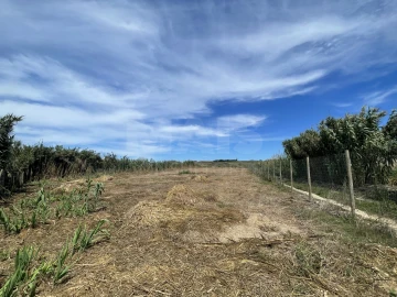Terreno para Venda em Ferrel