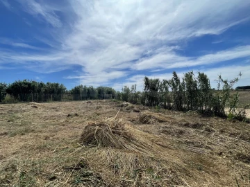 Terreno para Venda em Ferrel