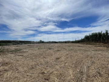 Terreno para Venda em Ferrel