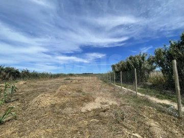 Terreno para Venda em Ferrel