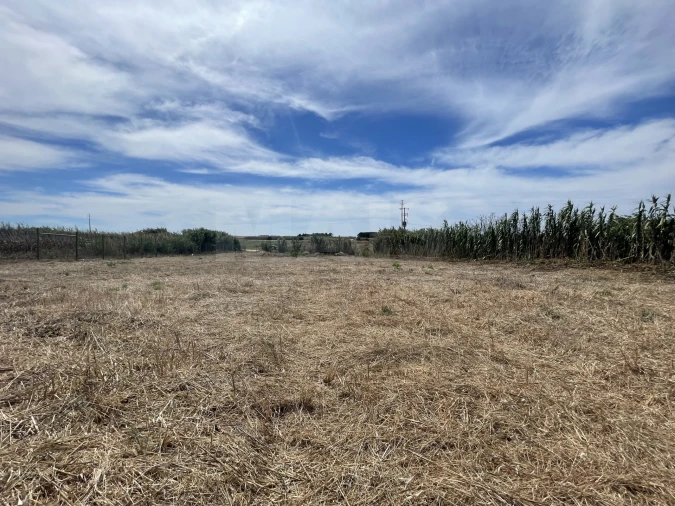 Terreno para Venda em Ferrel Foto 6