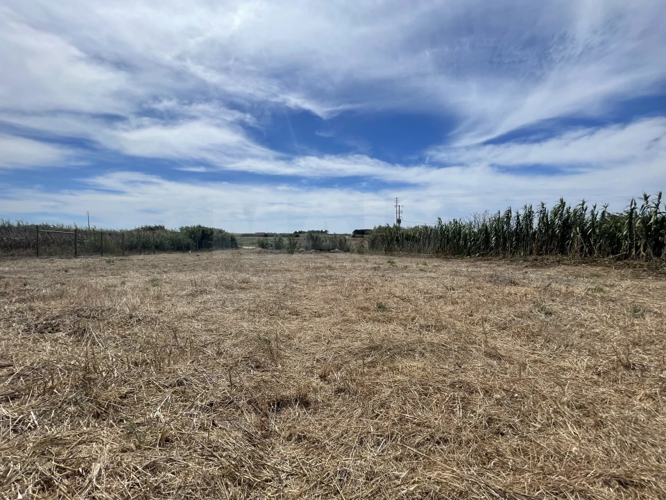 Terreno para Venda em Ferrel Foto 6