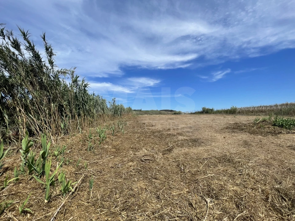 Terreno para Venda em Ferrel Foto 3