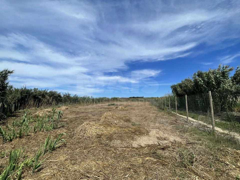 Terreno para Venda em Ferrel Foto 1