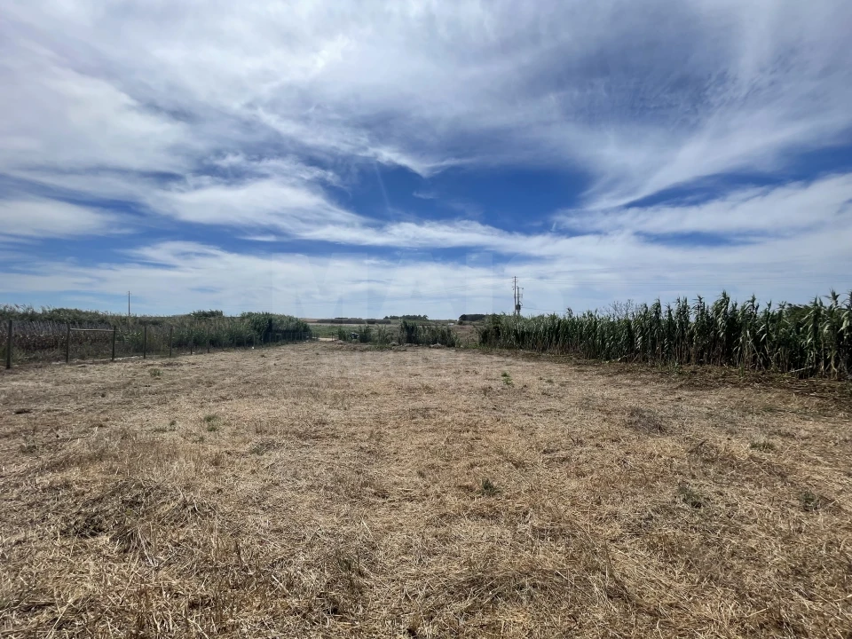 Terreno para Venda em Ferrel Foto 5