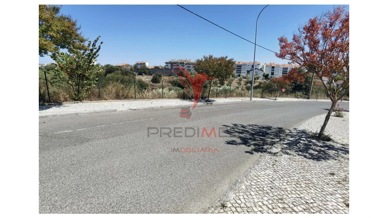 Terreno para Venda em Alcanena e Vila Moreira Foto 4