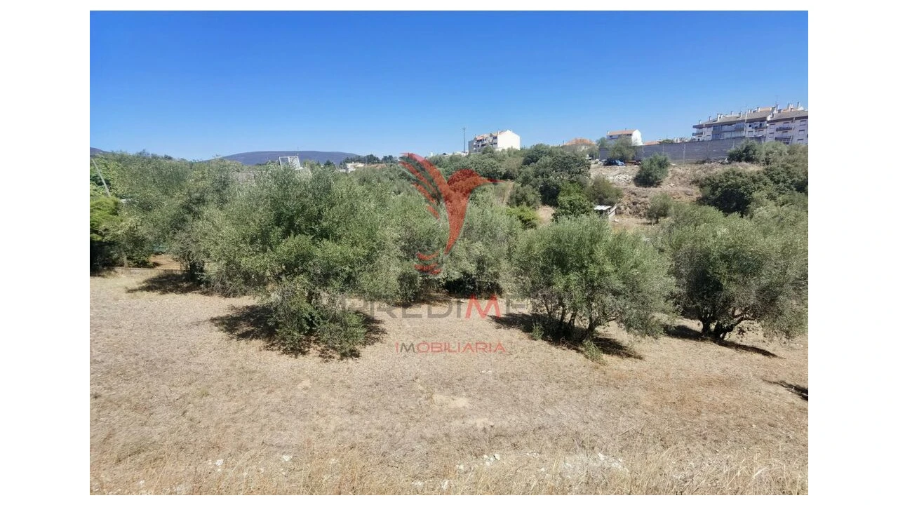 Terreno para Venda em Alcanena e Vila Moreira Foto 13