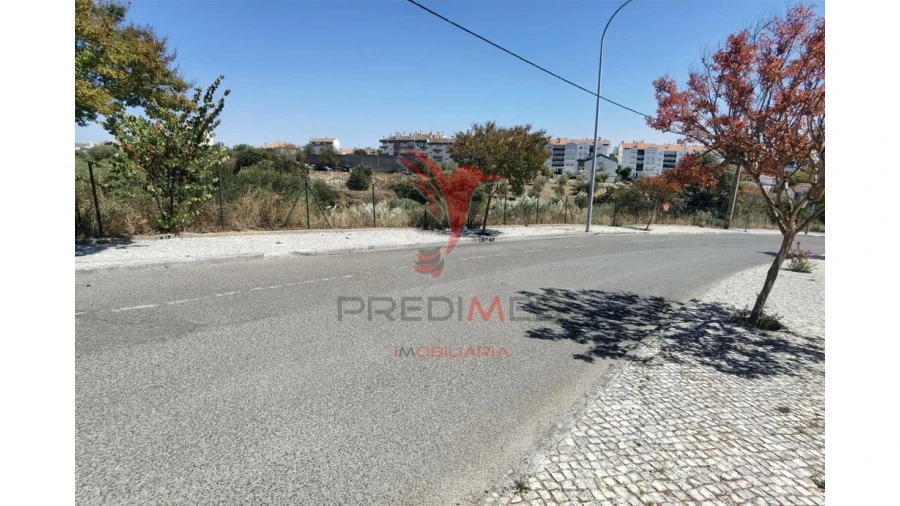 Terreno para Venda em Alcanena e Vila Moreira Foto 4