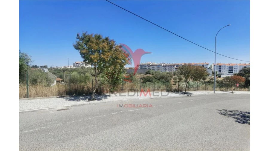 Terreno para Venda em Alcanena e Vila Moreira Foto 18