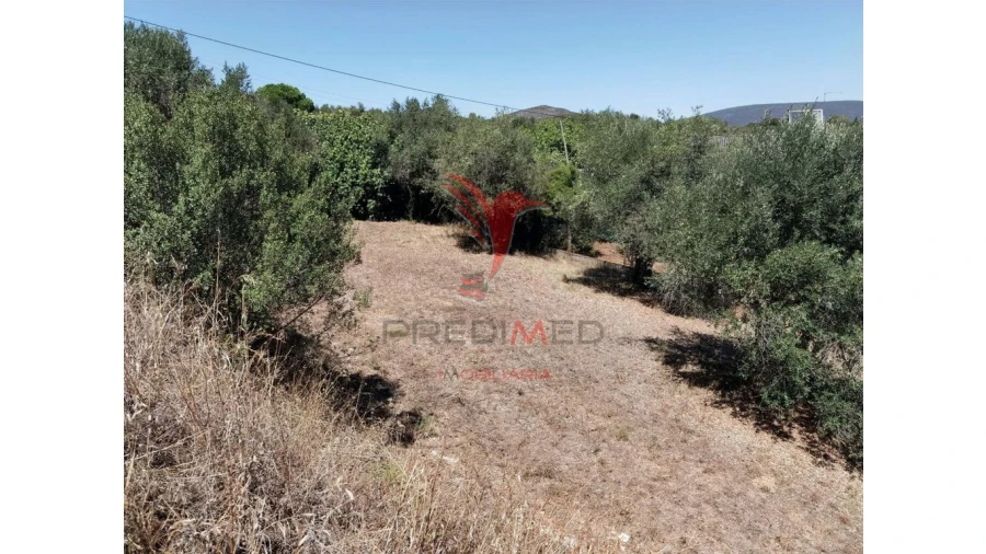 Terreno para Venda em Alcanena e Vila Moreira Foto 6