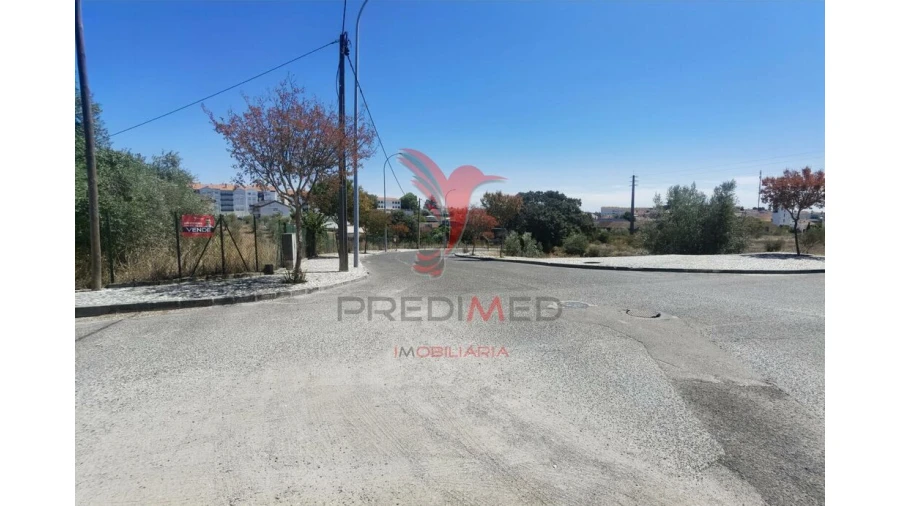 Terreno para Venda em Alcanena e Vila Moreira